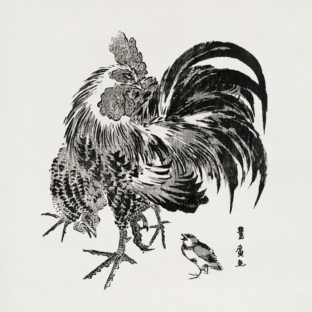 Japanese chicken (1773-1829) vintage Ukiyo-e style by Utagawa Toyohiro . Original public domain image from the Library of…