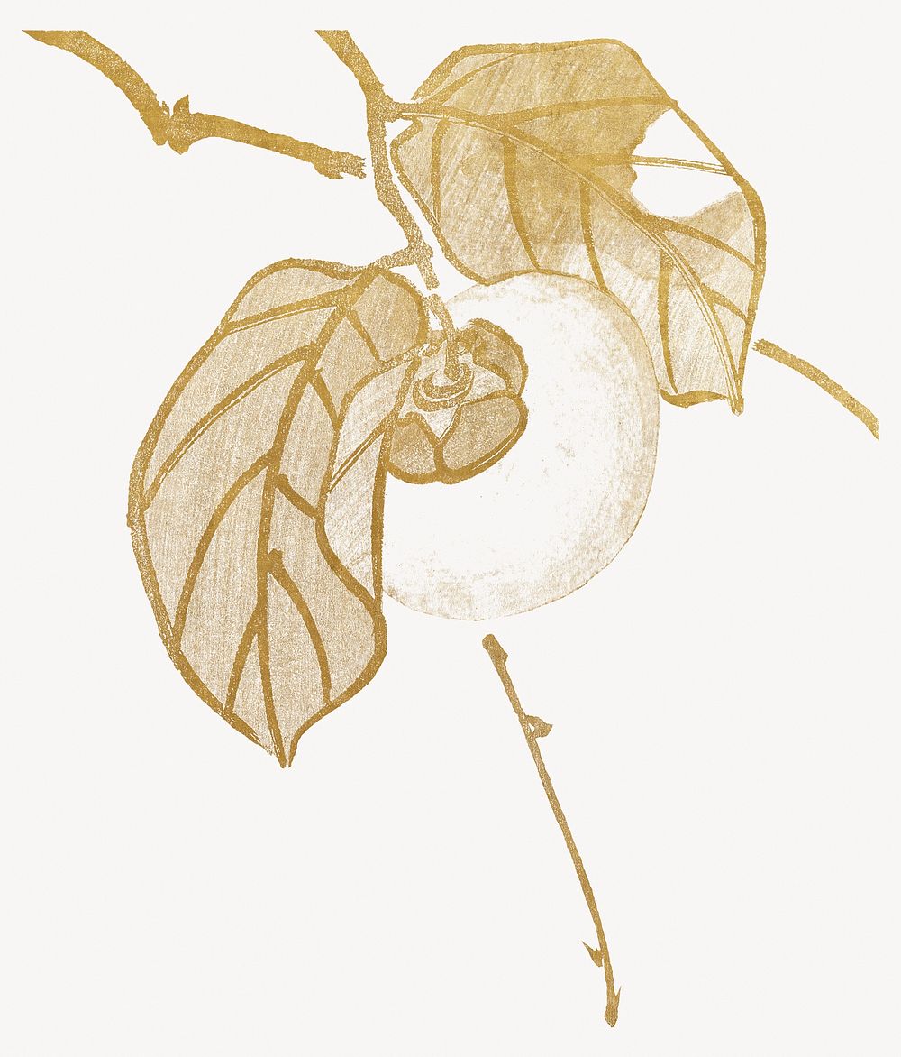 Shunsei's Persimmon fruit, gold vintage illustration. Remixed by rawpixel.
