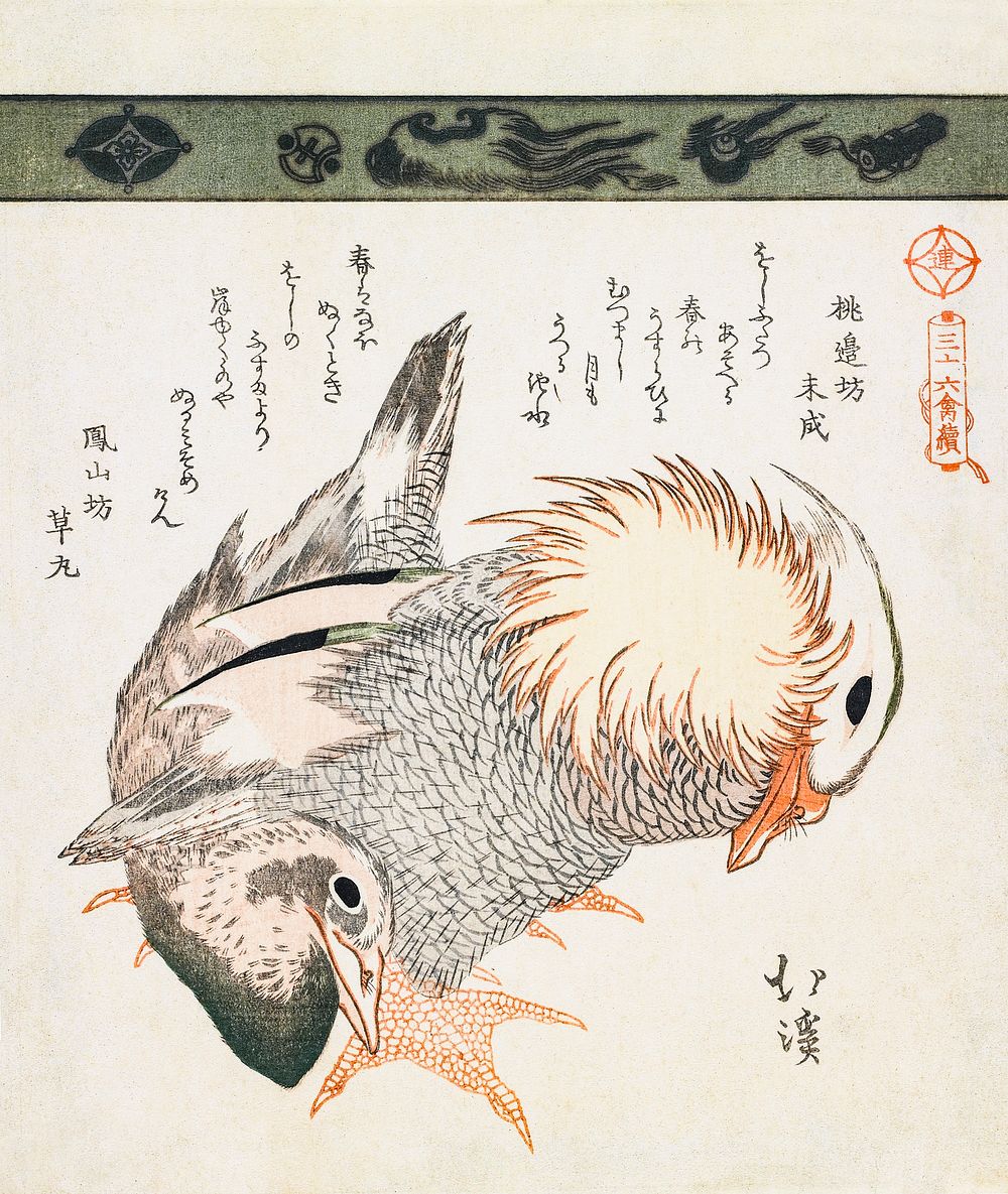 Mandarin duck and drake (1828) vintage Chinese woodblock print by Totoya Hokkei. Original public domain image from the…