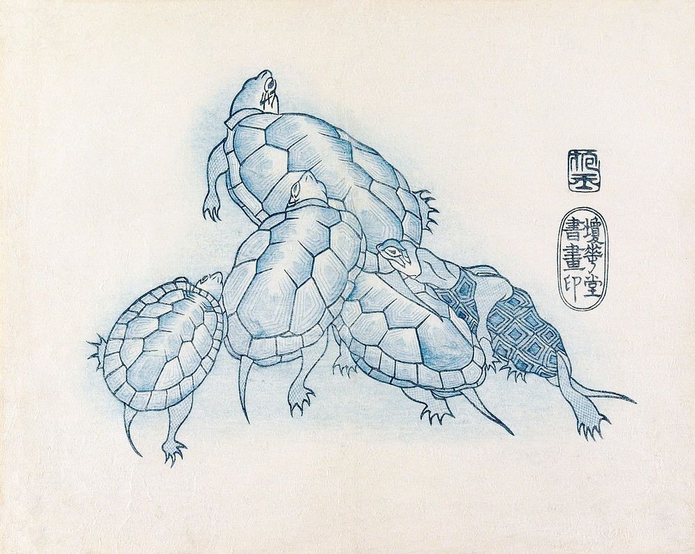 Turtles (1830s) vintage ukiyo-e style by Yamada Hogyoku. Original public domain image from the Minneapolis Institute of Art.…