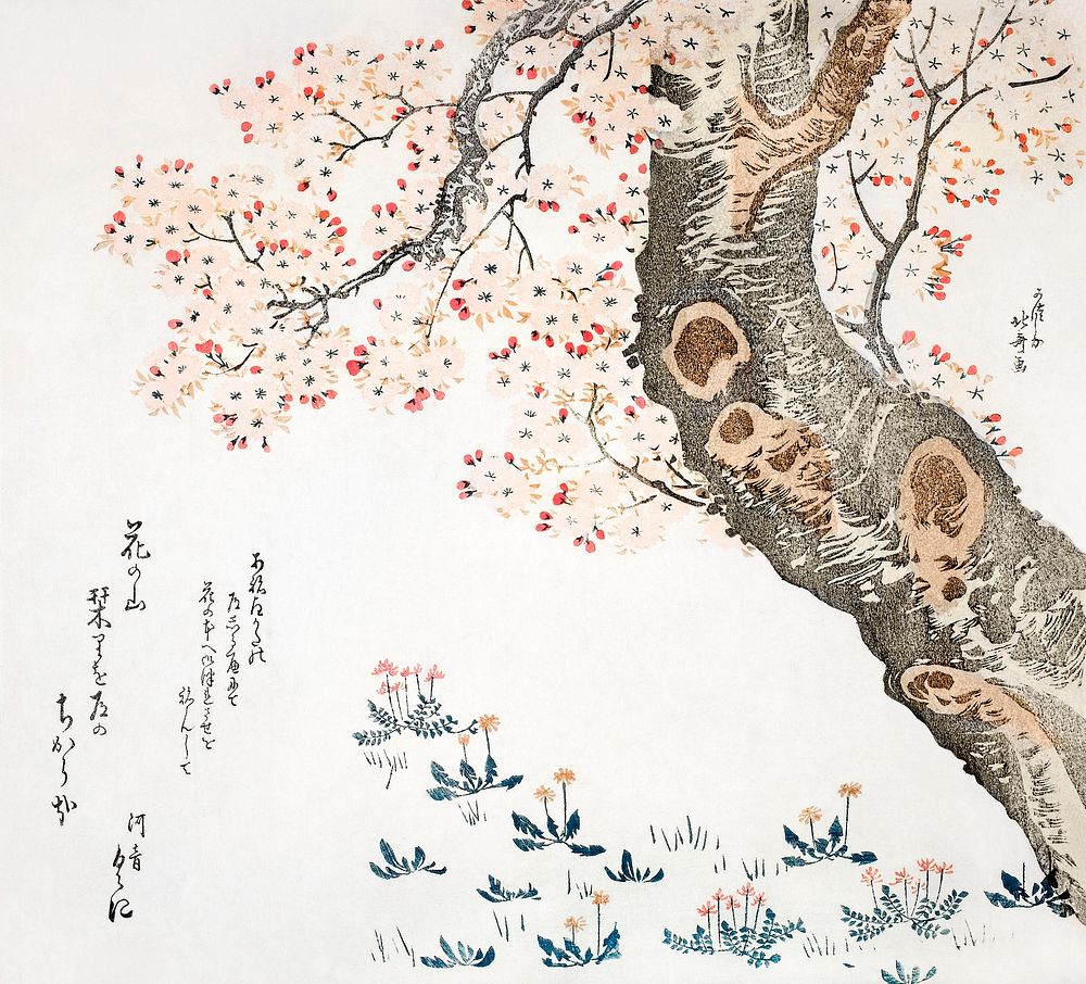 Katsushika Hokusai&rsquo;s cherry tree (1760&ndash;1849) vintage Japanese woodblock print. Original public domain image from…