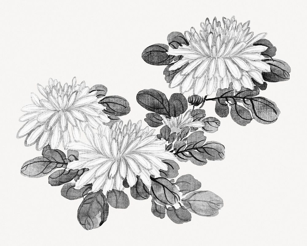 Vintage chrysanthemums psd.  Remastered by rawpixel. 