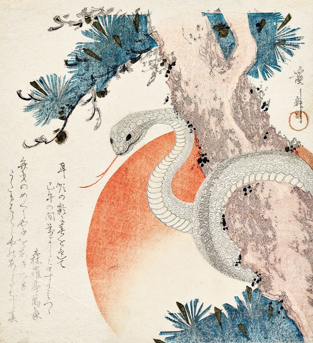 Snake coiled around a pine tree (1821) vintage woodblock prints by Keisai Eisen. Original public domain image from The Yale…