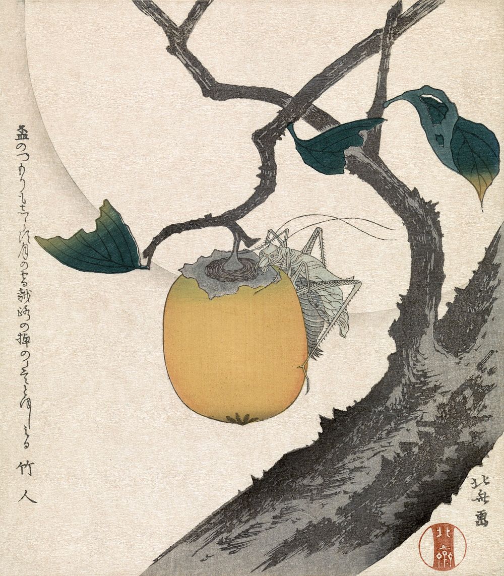 Katsushika Hokusai&rsquo;s persimmon and grasshopper (1890-1900) vintage Japanese woodcut print. Original public domain…