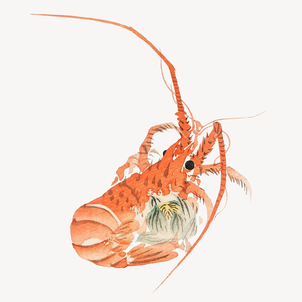 Asai Koei's Japanese lobster psd.   Remastered by rawpixel. 