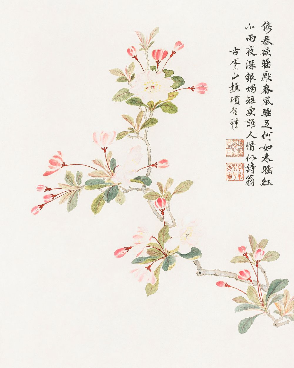 Crab-apple blossom (1656) vintage Chinese painting by Xiang Shengmo. Original public domain image from the Minneapolis…