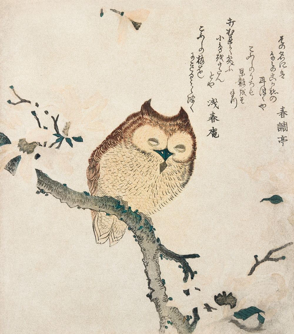 Horned owl on a branch (19th century) vintage Japanese print by Kubota Shunman. Original public domain image from the…