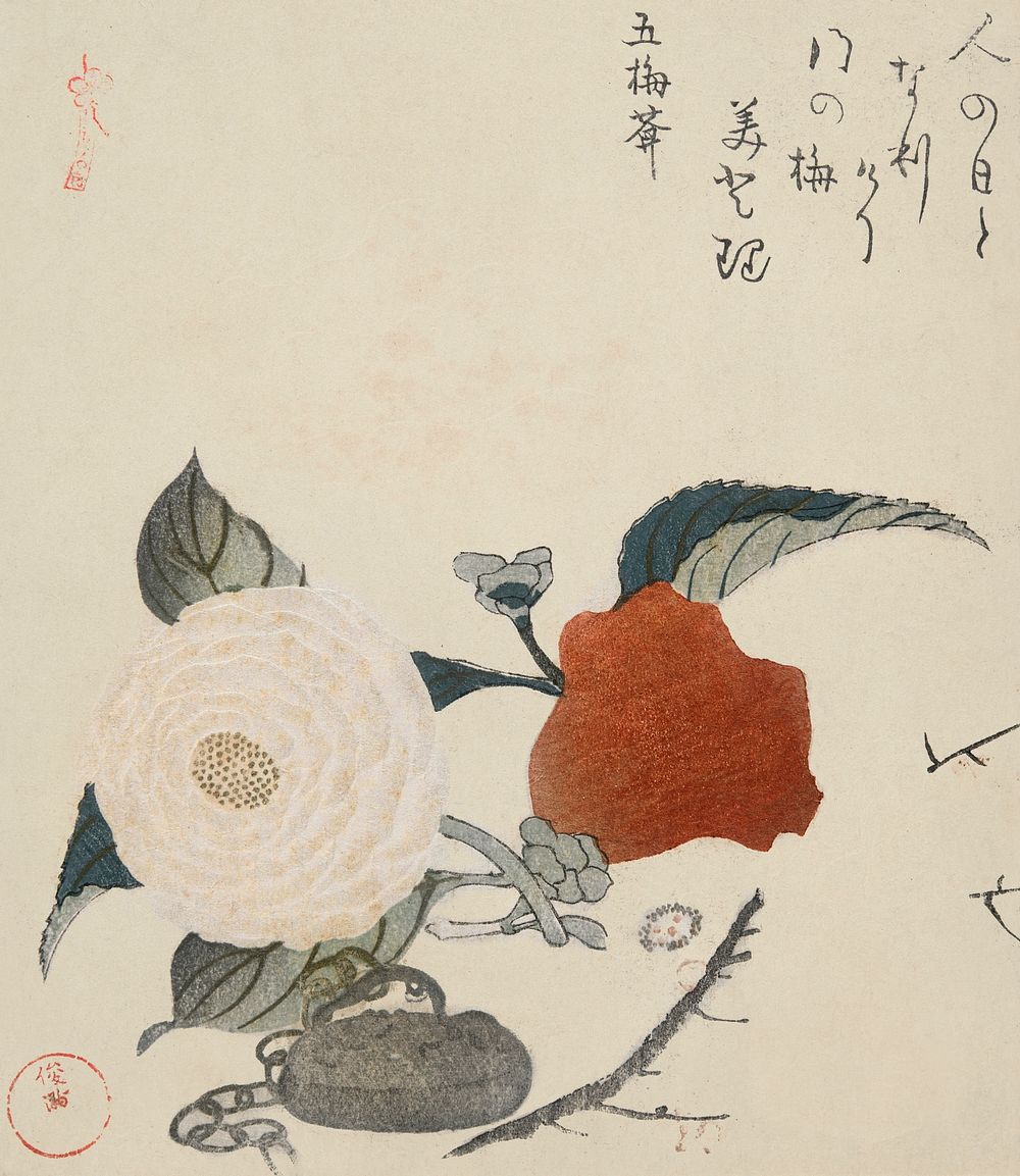 Peony Flower and a Metal Seal (1816) vintage Japanese printainting by Kubota Shunman. Original public domain image from the…