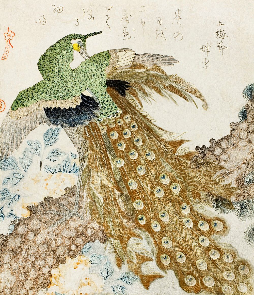 Japanese peacock (1810s) vintage woodblock prints by Kubo Shunman. Original public domain image from The Art Institute of…