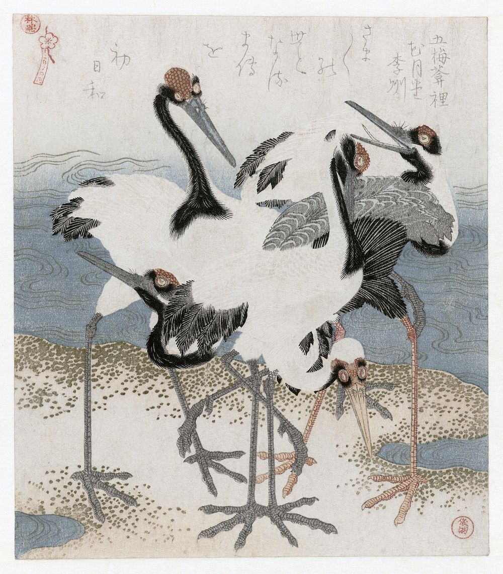 Five cranes (1816) vintage Japanese print by Kubota Shunman. Original public domain image from the Rijksmuseum.   Digitally…