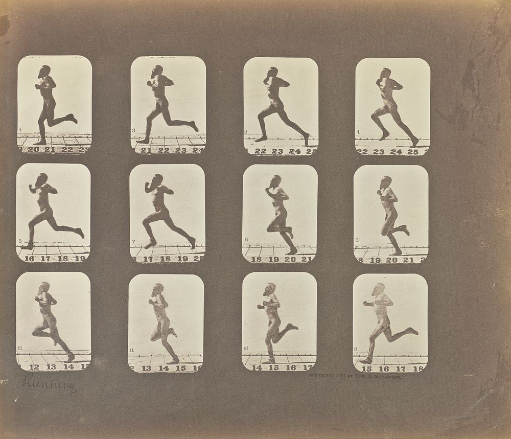 Male Runner (1881) photography in high resolution by Eadweard Muybridge. 