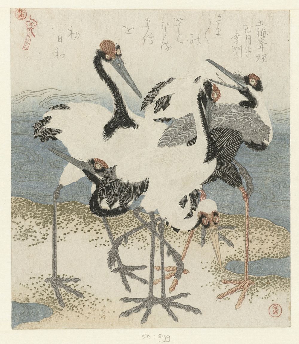 Five Cranes (c.1816) print in high resolution by Kubota Shunman. Original from the Rijksmuseum. 