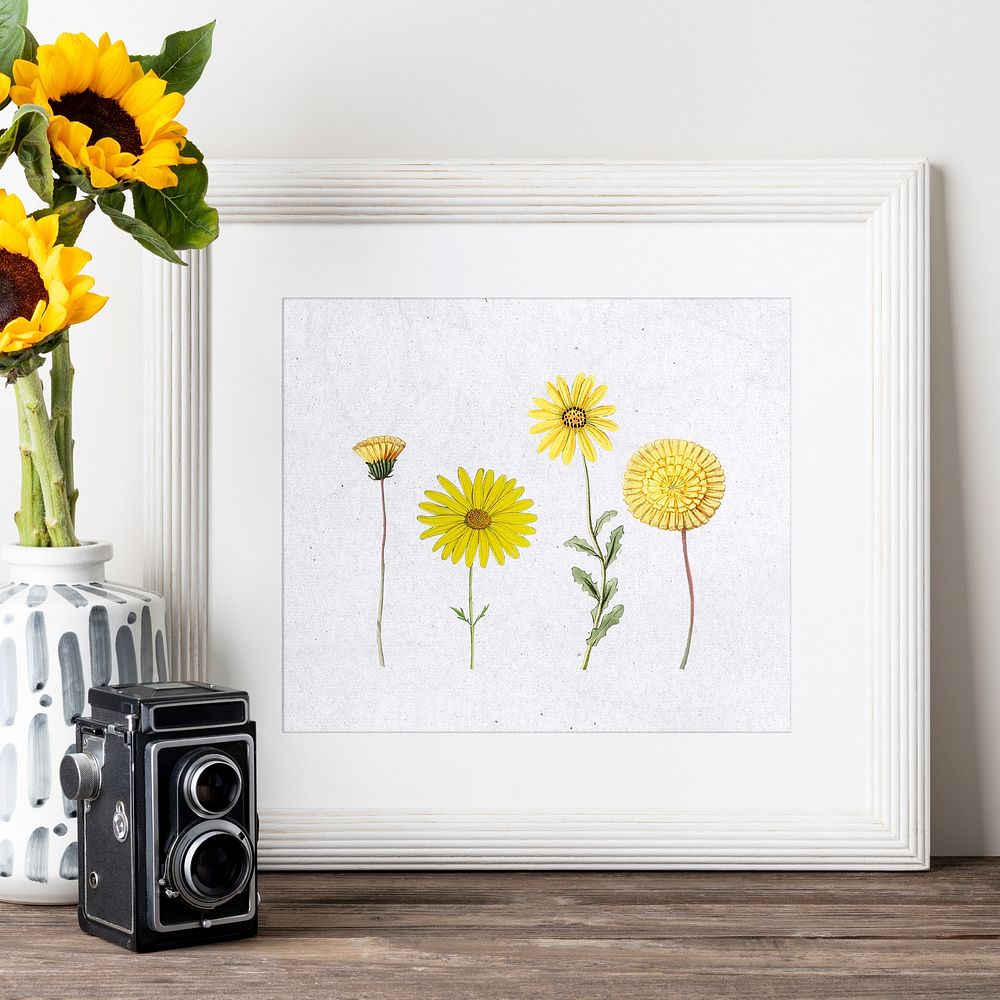 Aesthetic flower vase and photo frame, home decorations