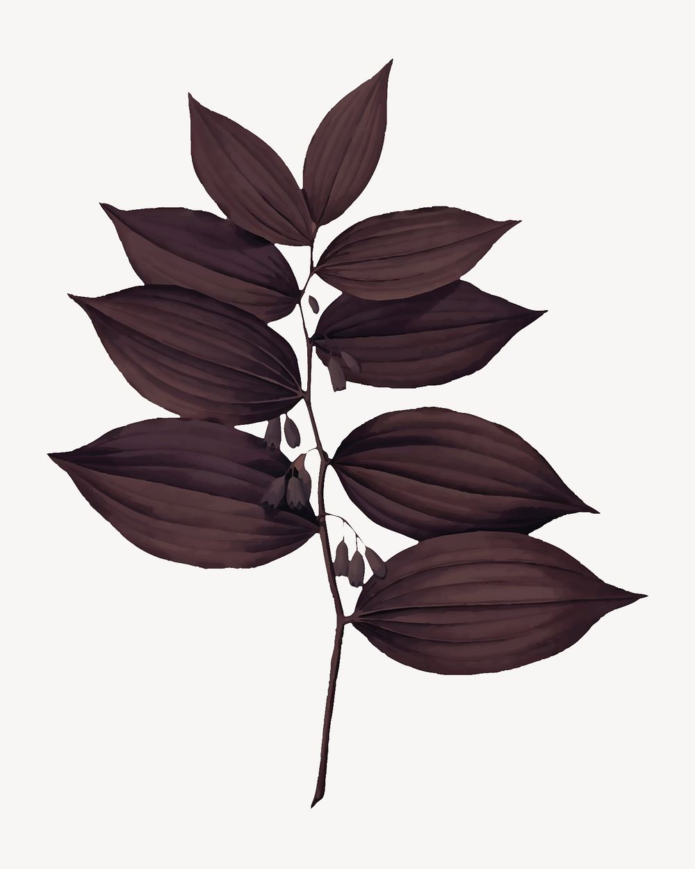 Brown leaf branch collage element psd