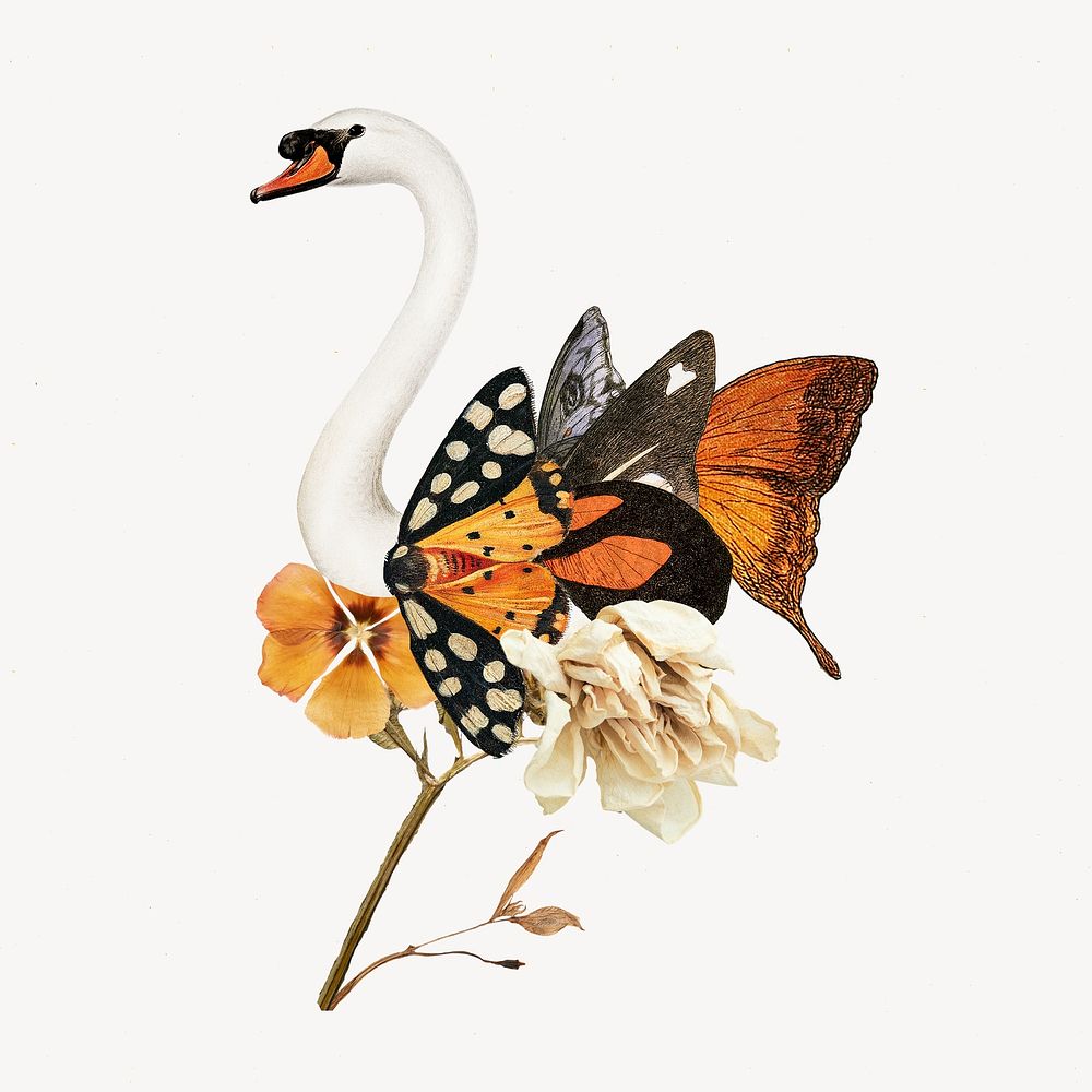Swan collage element, vintage animal illustration remix psd