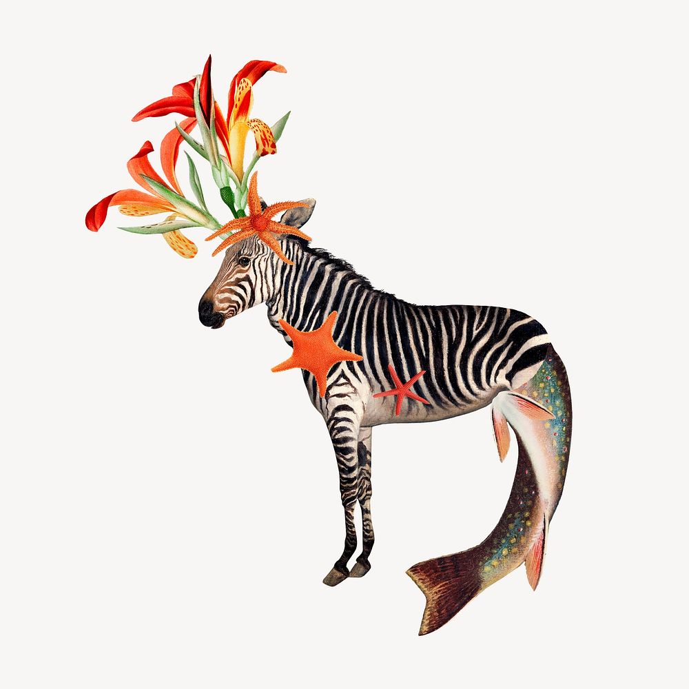 Zebra collage element, vintage animal illustration remix psd