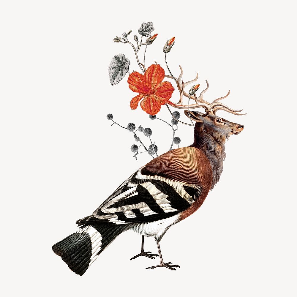 Hybrid bird collage element, vintage animal illustration remix psd
