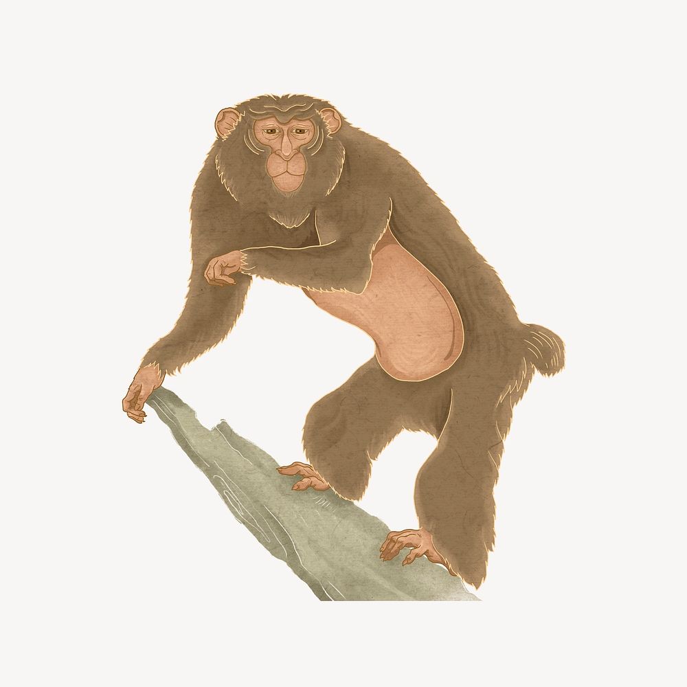 Japanese monkey, vintage wildlife illustration psd