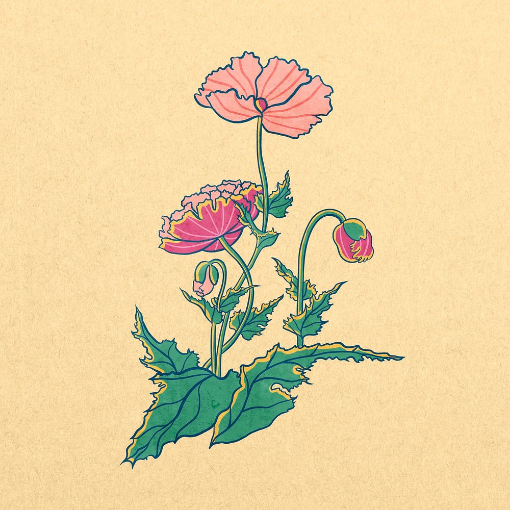 Vintage pink poppy flower psd