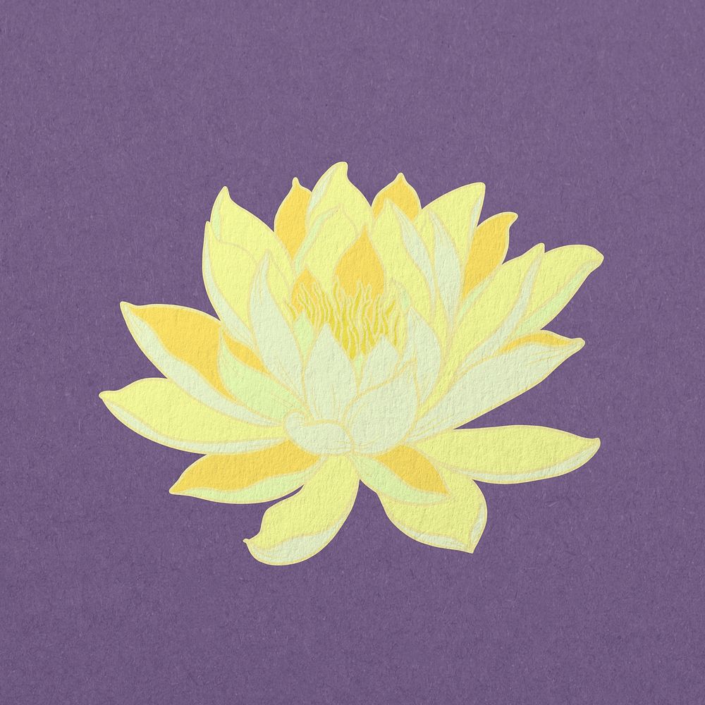 Vintage yellow water lily psd