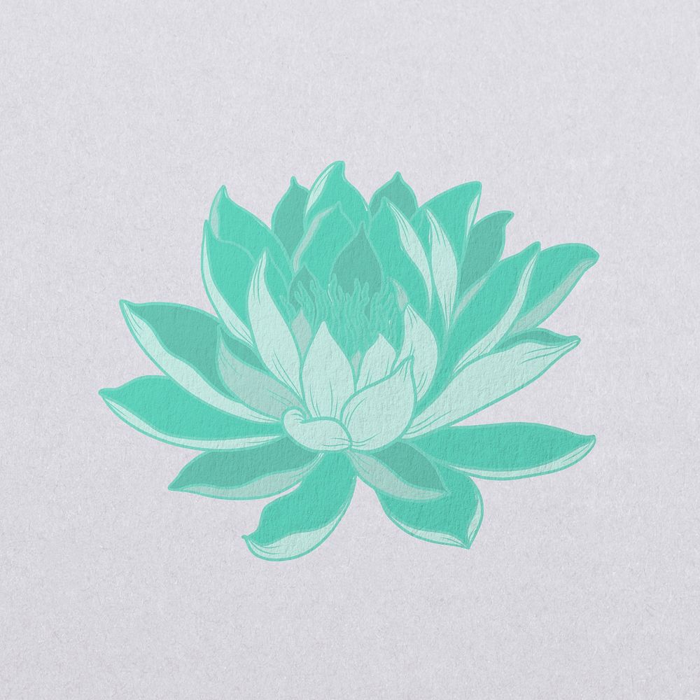 Vintage green water lily illustration
