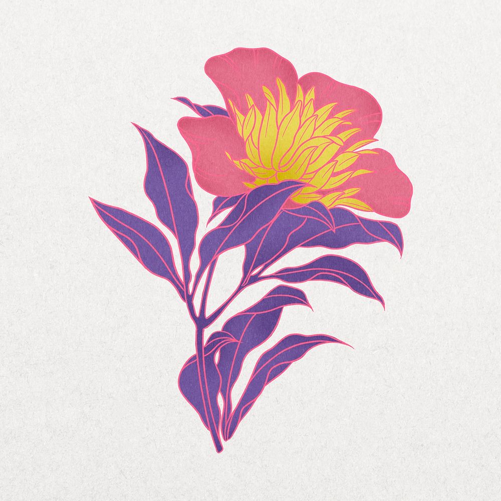 Vintage pink flower illustration
