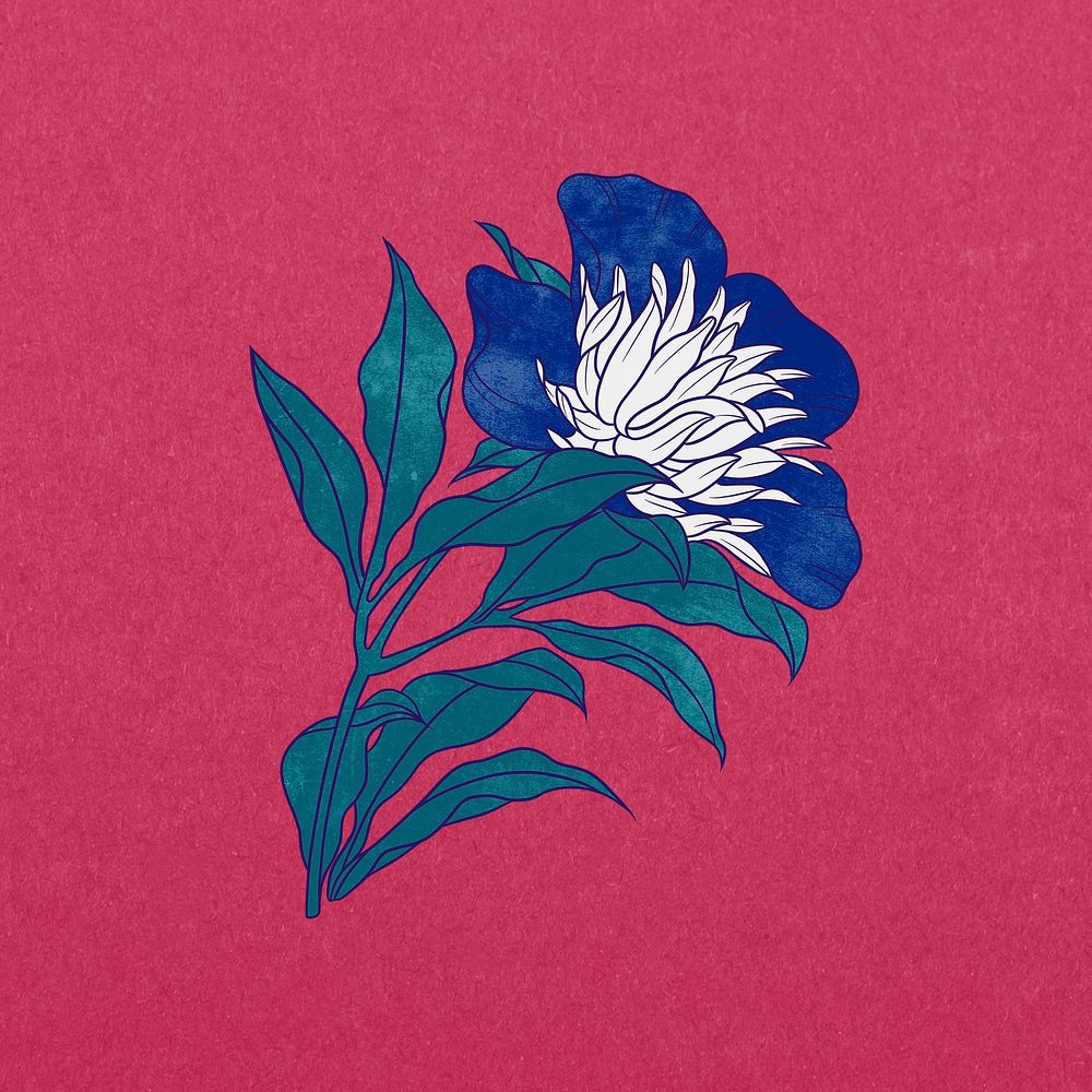 Vintage blue flower illustration