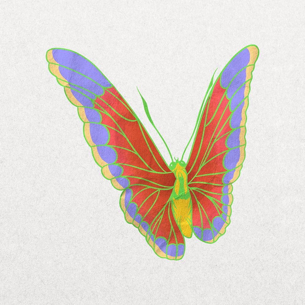 Orange aesthetic butterfly, vintage insect Premium Photo rawpixel