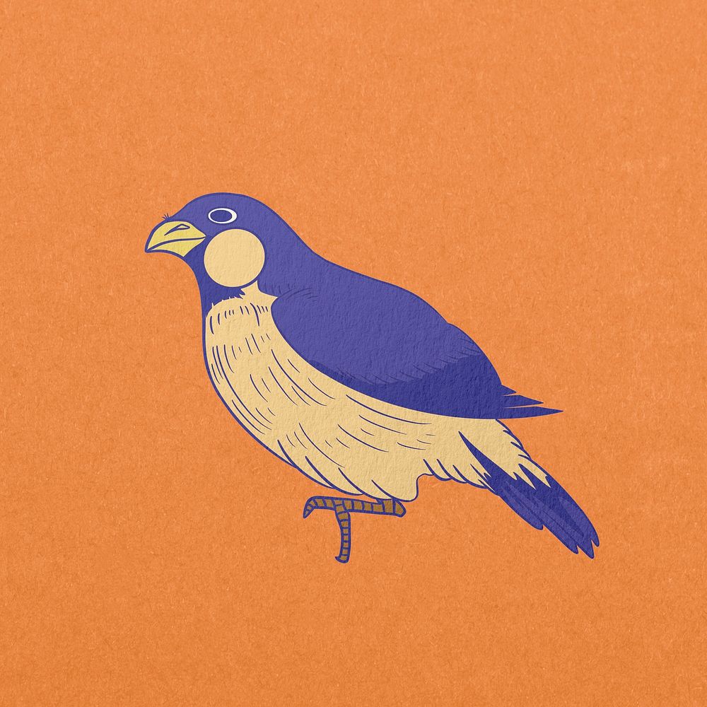 Blue bird, vintage animal illustration