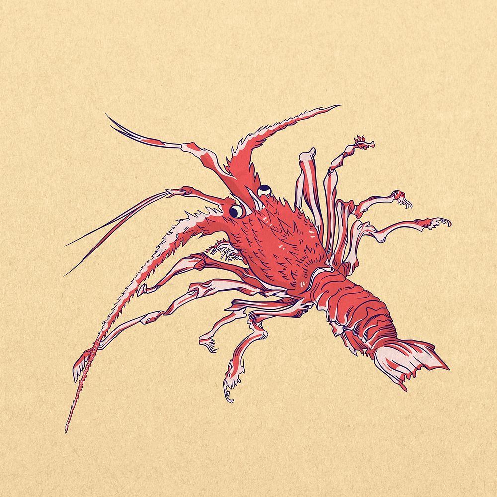 Red lobster, vintage sea animal illustration psd