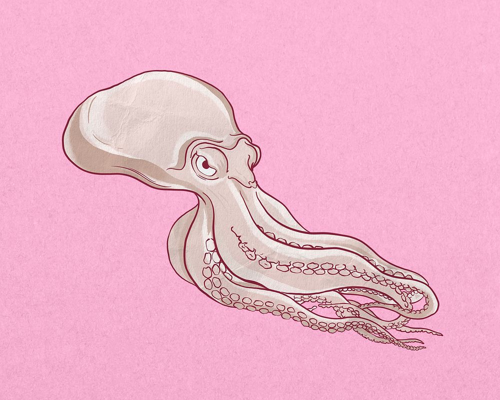 Octopus, vintage sea animal illustration psd