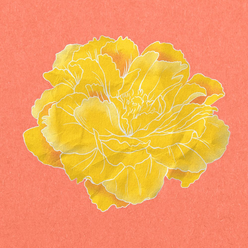 Aesthetic yellow peony, vintage Japanese flower illustration