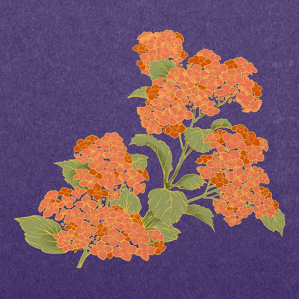 Vintage orange Japanese flower, cherry blossom illustration