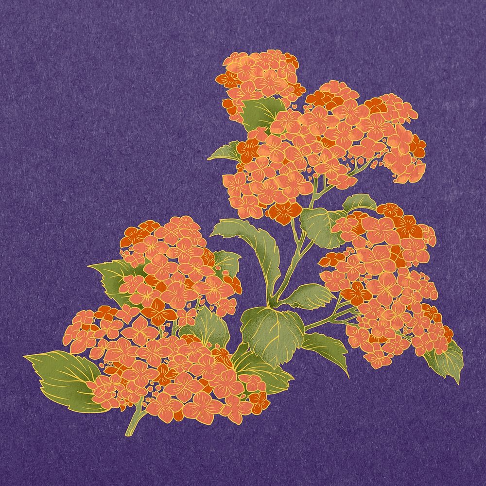 Vintage Japanese flower, orange cherry blossom illustration psd