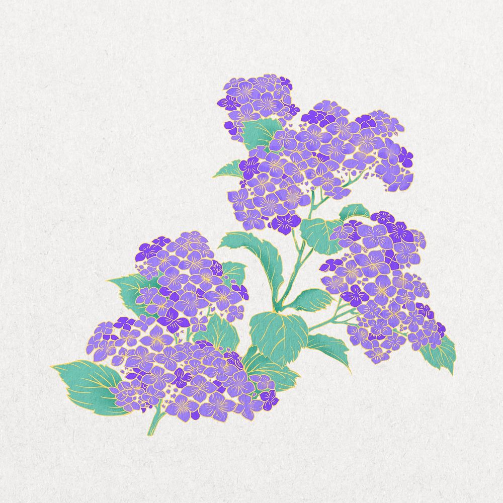 Vintage purple Japanese flower, cherry blossom illustration psd