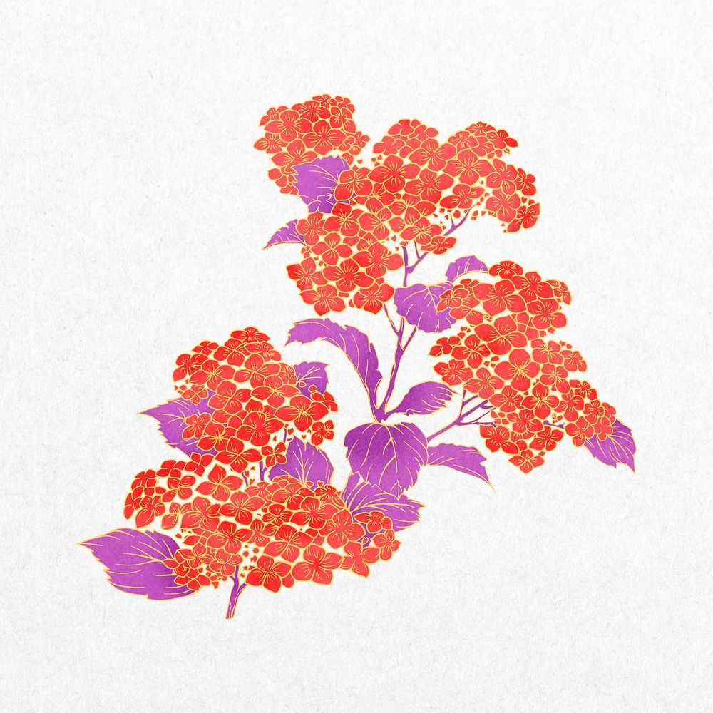 Vintage red Japanese flower, cherry blossom illustration