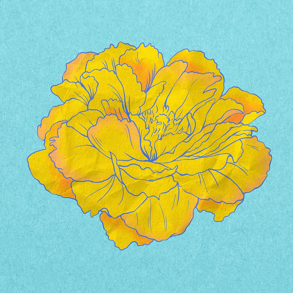 Vintage yellow peony, aesthetic Japanese flower illustration