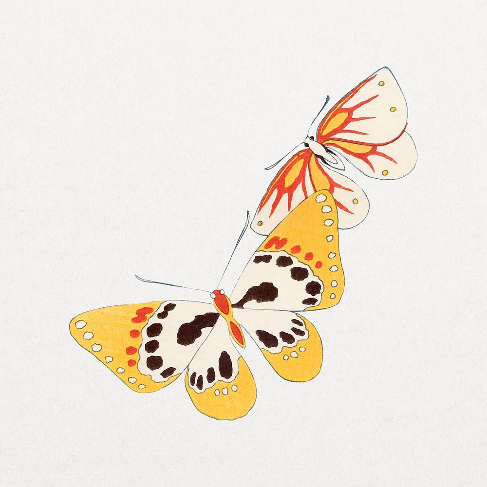 Vintage butterflies, isolated insect illustration psd