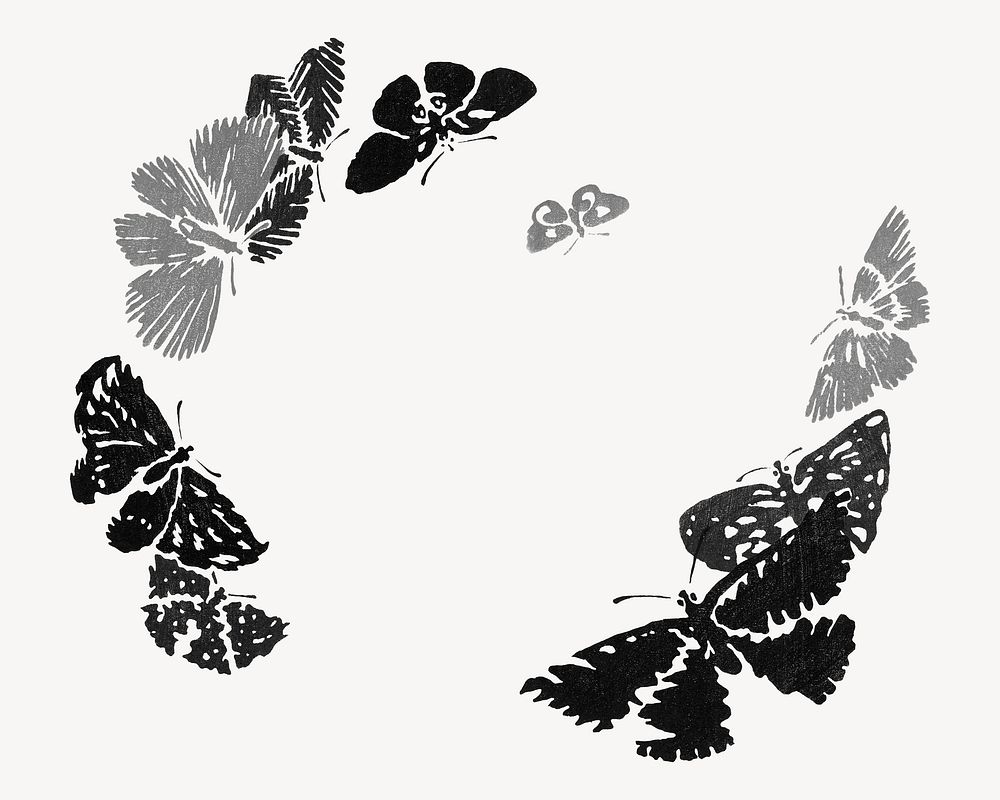 Black butterflies silhouette, insect frame