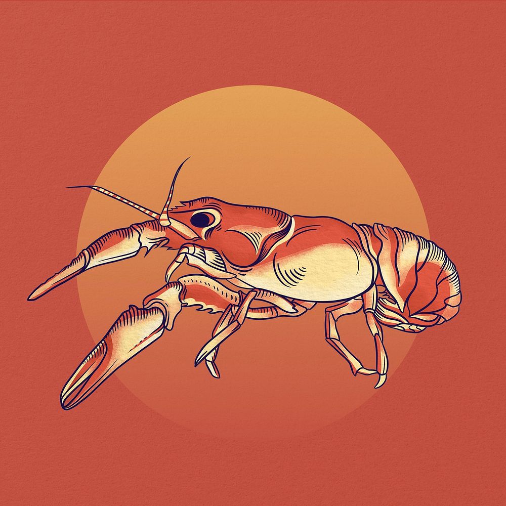 Japanese crayfish background, sea animal illustration