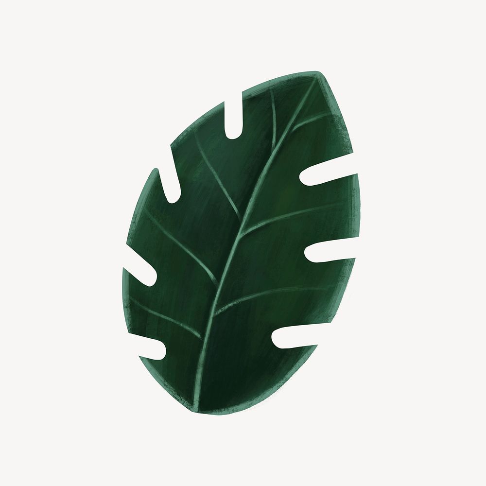 Tropical leaf collage element, botanical illustration psd