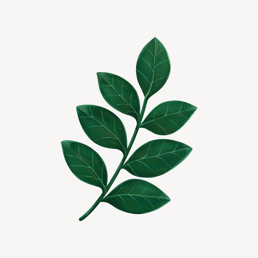 Green leaf collage element, botanical illustration psd