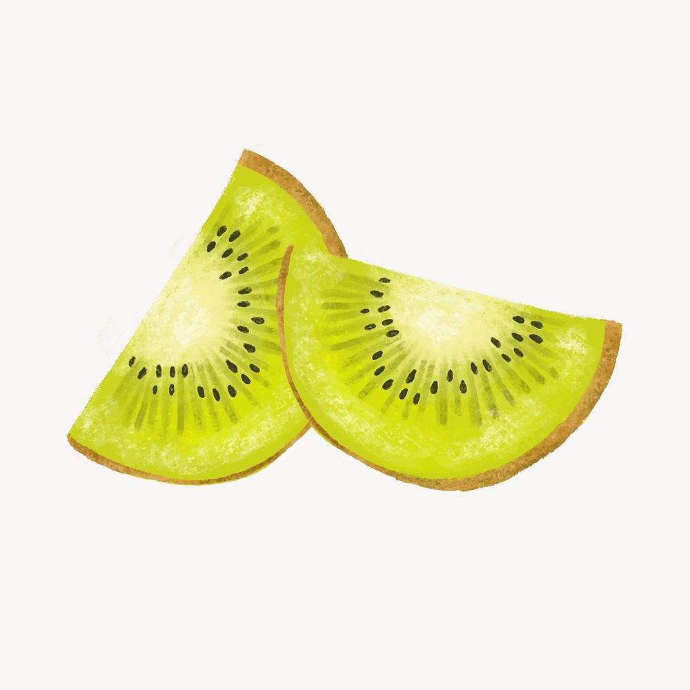 Kiwi slices, realistic fruit illustration vector