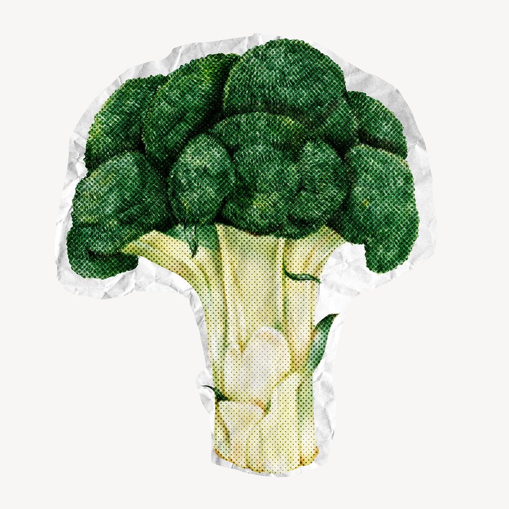 Broccoli vegetable, paper texture image