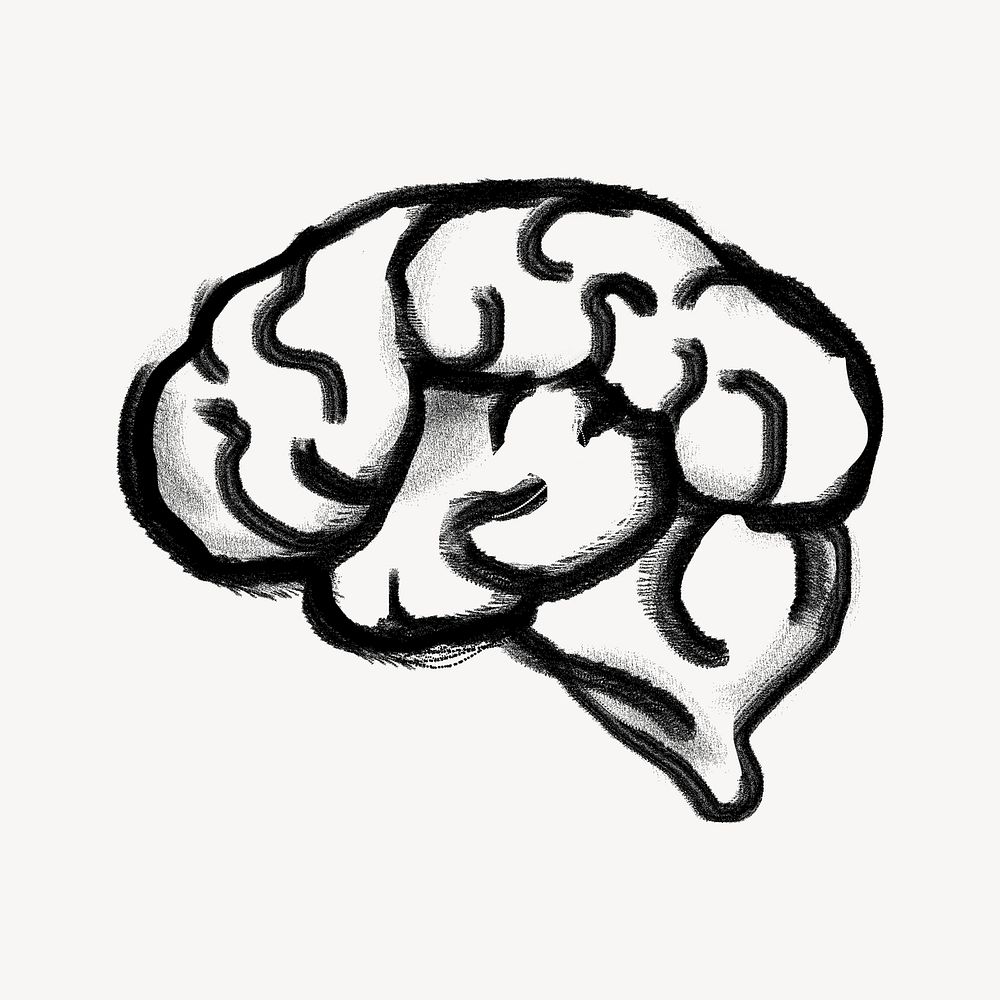 Front View Brain Stock Illustrations – 1,078 Front View Brain Stock  Illustrations, Vectors & Clipart - Dreamstime