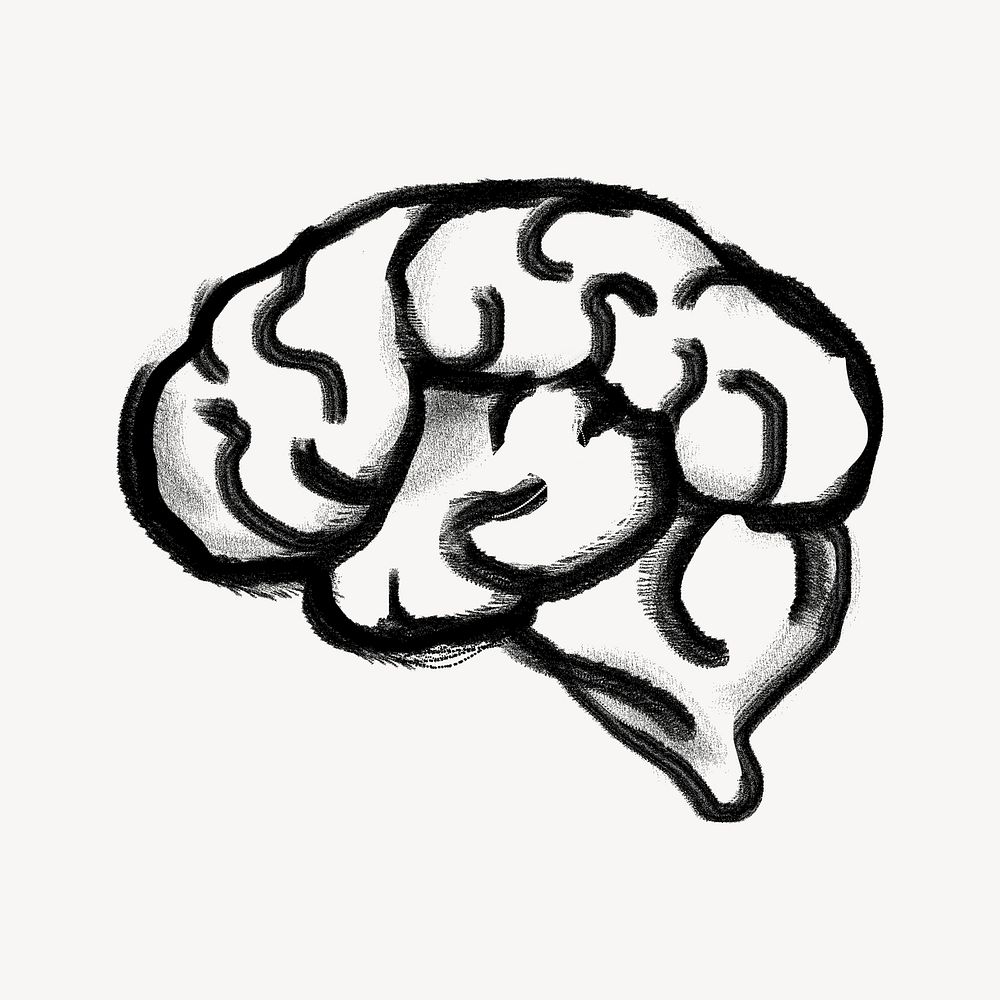 Human brain, knowledge, education doodle psd