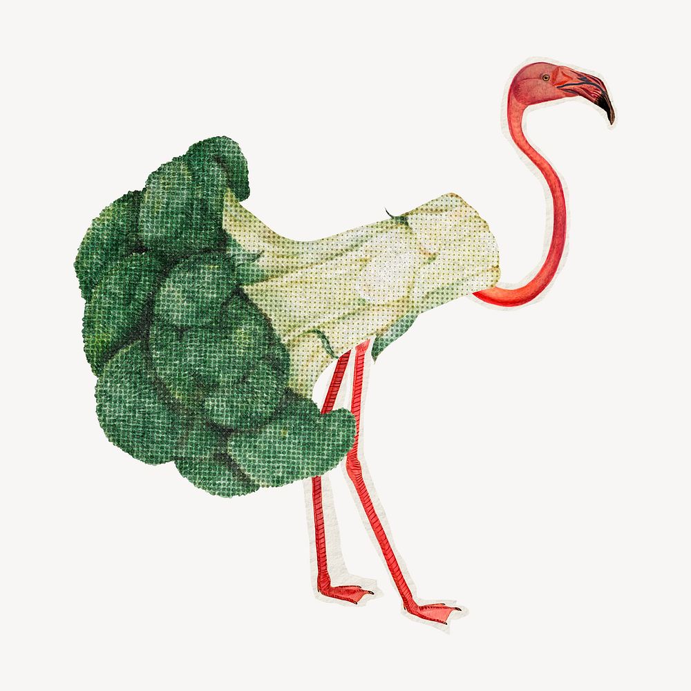 Broccoli flamingo, vegetable and animal remix psd