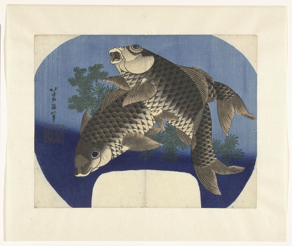 Hokusai's (1760-1849) Carp Swimming by Water Weeds. Original public domain image from the Rijksmuseum.