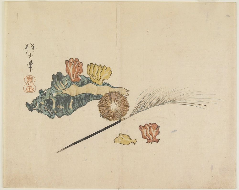 Shells (1830s) print in high resolution by Yamada Hogyoku. Original from The Minneapolis Institute of Art. Original from the…