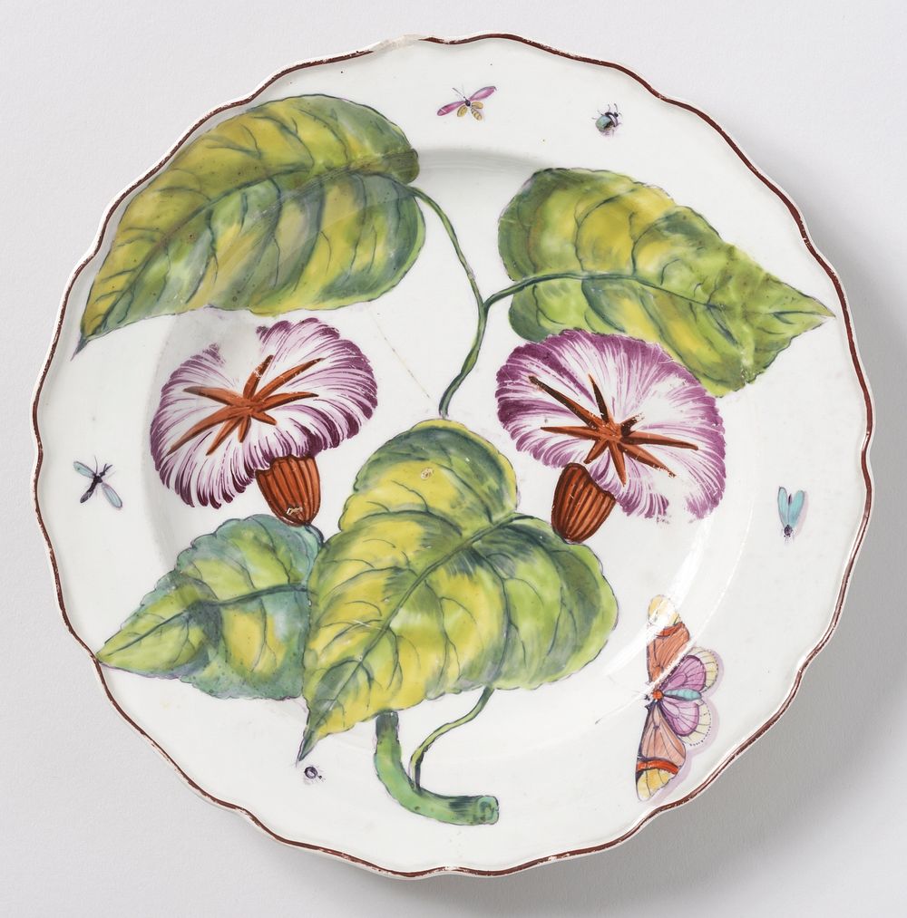 "Hans Sloane" Botanical Plate, Chelsea Porcelain Manufactory